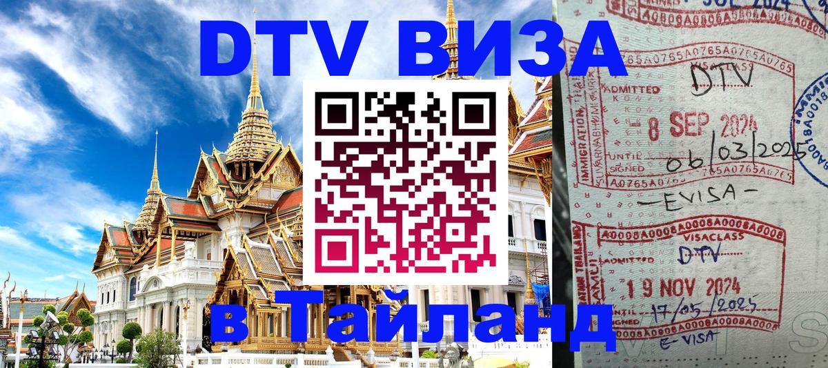Сколько стоит DTV виза — актуальные цены, оформление даже без документов - 